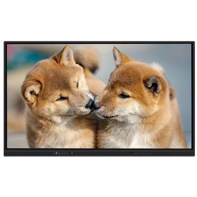 75-дюймовая интерактивная плоская панель Smart Board с Android 15 и WiFi 6 для школ и офисов