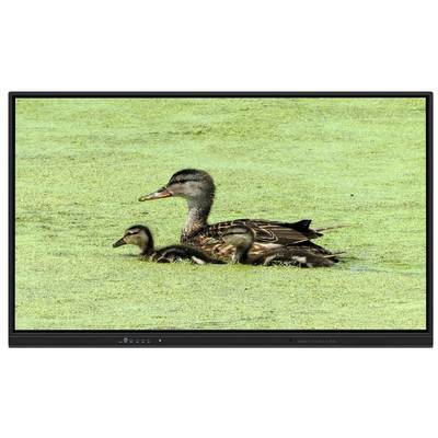 65-дюймовая интерактивная доска «все в одном» с памятью 8+128 ГБ и инфракрасным сенсорным экраном для обучения и совещаний