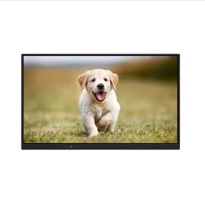 iBoard Интерактивная доска для Android 16 сертифицированная EDLA