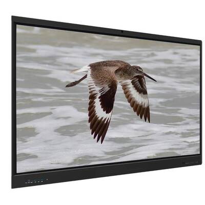 Iboard Interactive Whiteboard Android 15 EDLA Google Сертифицирован с 65/75/86 дюймовой сенсорной панелью и двойной ОС для электронного обучения