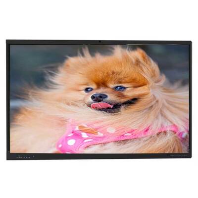 Интерактивная плоская панель с сенсорным экраном IBoard с компьютером Windows OPS необязательно, глубина цвета 1,07 G (8 битов + FRC) и яркость 350 Cd / m2 для современных совещательных залов