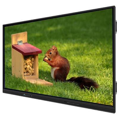 Интерактивная панель с поддержкой нескольких ОС и сенсорным управлением пером/пальцем для образования размером 1705,8*1013,5*88,9 мм