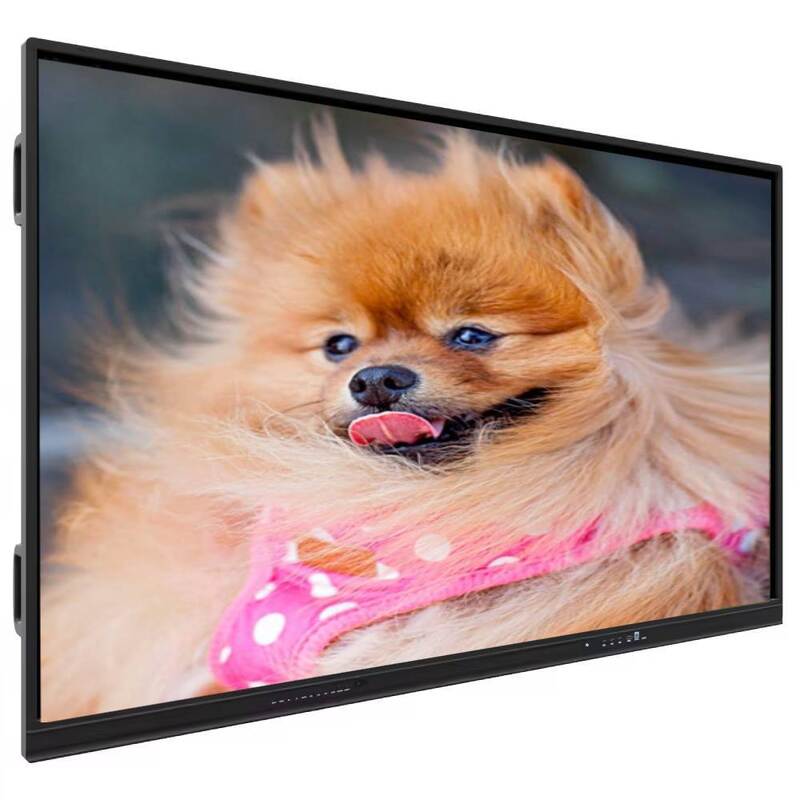 Интерактивная плоская панель с сенсорным экраном IBoard с компьютером Windows OPS необязательно, глубина цвета 1,07 G (8 битов + FRC) и яркость 350 Cd / m2 для современных совещательных залов