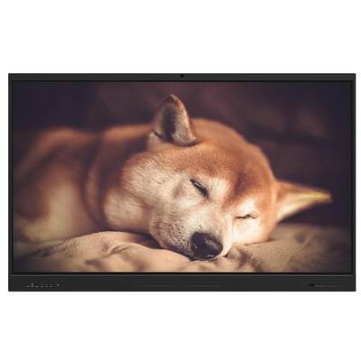 Интерактивная плоская панель 65 75 86 дюймов Android 14 15 8+128G Ram And Storage Wifi BT Whiteboard Содержание программного обеспечения для совещаний Спикер Встроенный опциональный фотоаппарат Микрофон Передвижной стенд с портами HDMI USB для школьного офиса