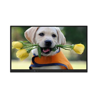 55-98-дюймовая интерактивная панель с разрешением 4K, мультитач и двойной системой для обучения и совещаний
