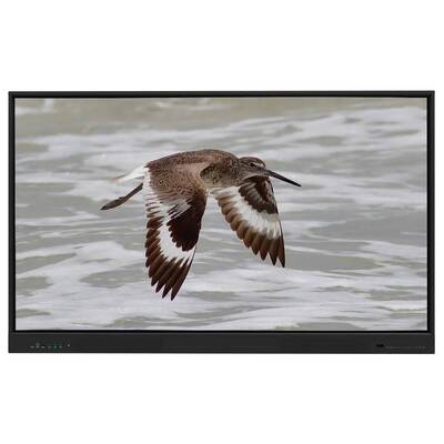 Iboard Interactive Whiteboard Android 15 EDLA Google Сертифицирован с 65/75/86 дюймовой сенсорной панелью и двойной ОС для электронного обучения