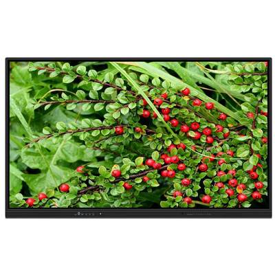 75-дюймовая интерактивная доска с динамиками для домашнего обучения