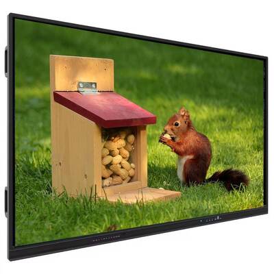 Интерактивная панель с поддержкой нескольких ОС и сенсорным управлением пером/пальцем для образования размером 1705,8*1013,5*88,9 мм