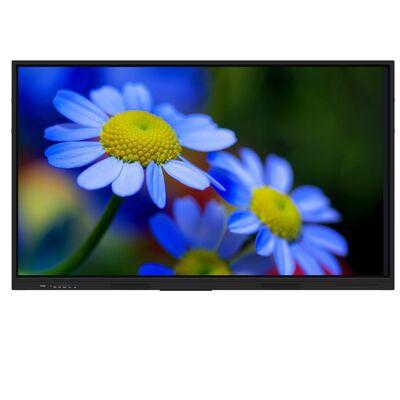 75-дюймовый горячий продажа iBoard интерактивный плоский дисплей для классной комнаты